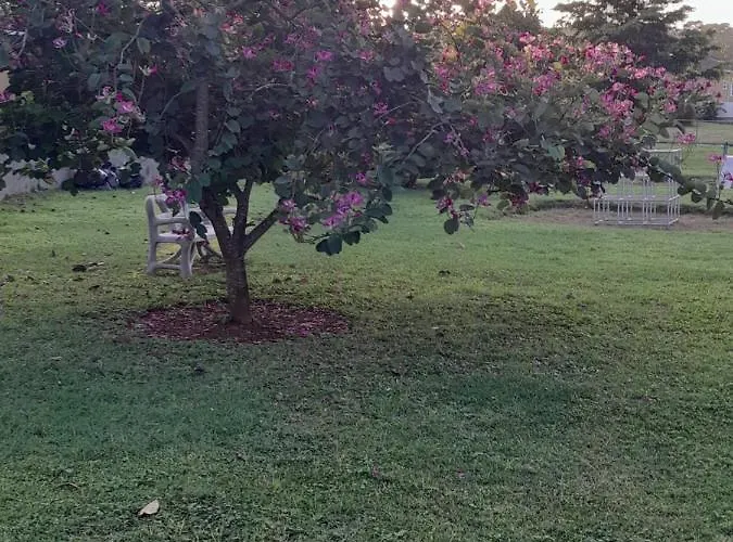 Harmony La Vista Holiday home